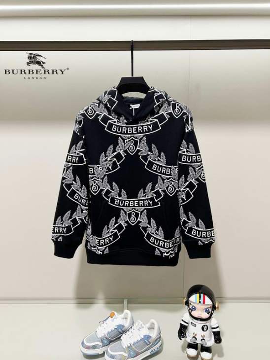 Picture of Burberry Hoodies _SKUBurberryXS-L24cr231891